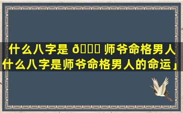 什么八字是 🐟 师爷命格男人「什么八字是师爷命格男人的命运」